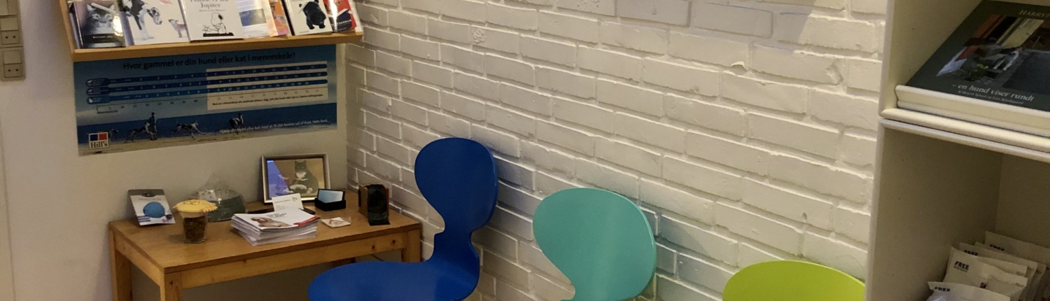 snekkersten dyreklinik